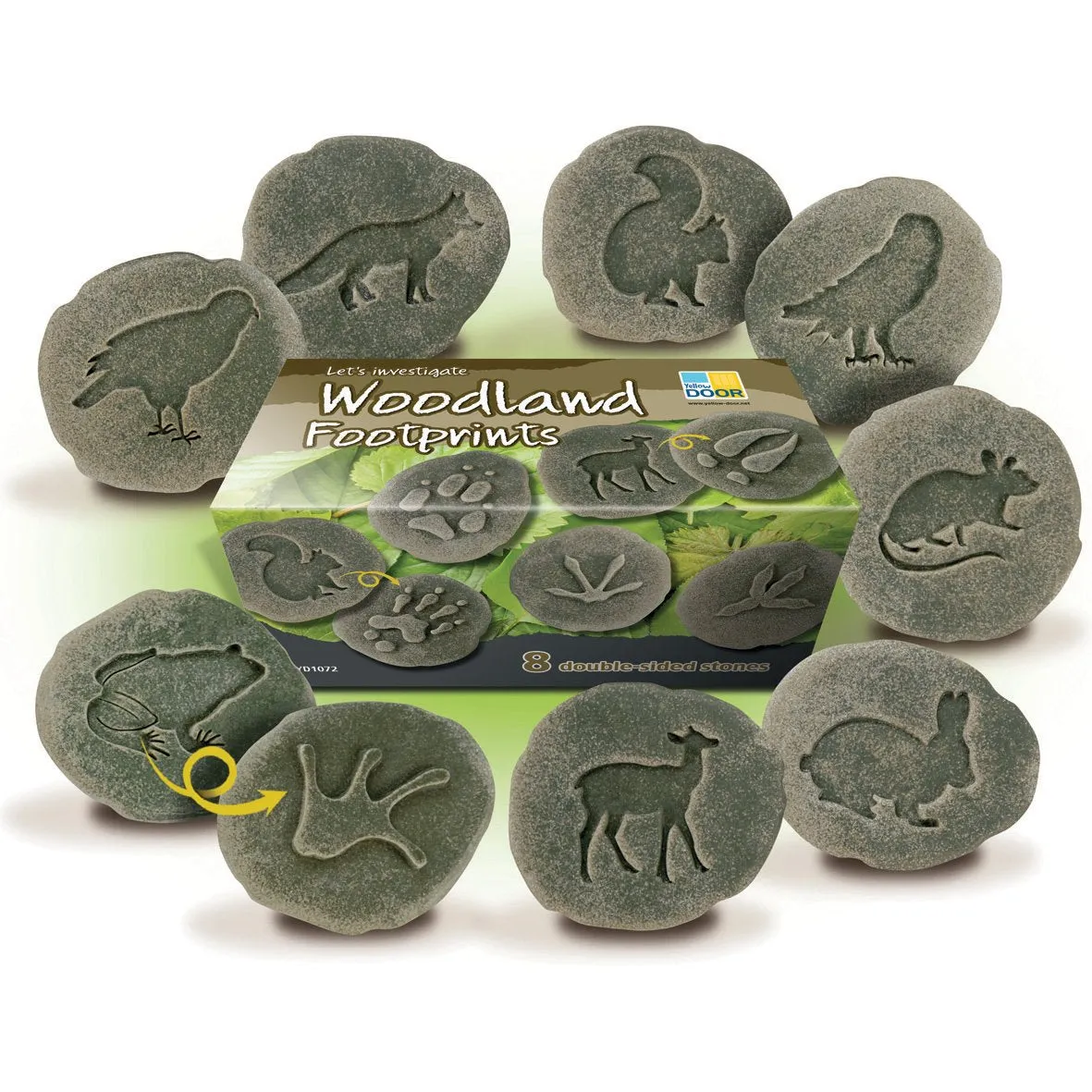 Lets Investigate Woodland Footprints pk 8