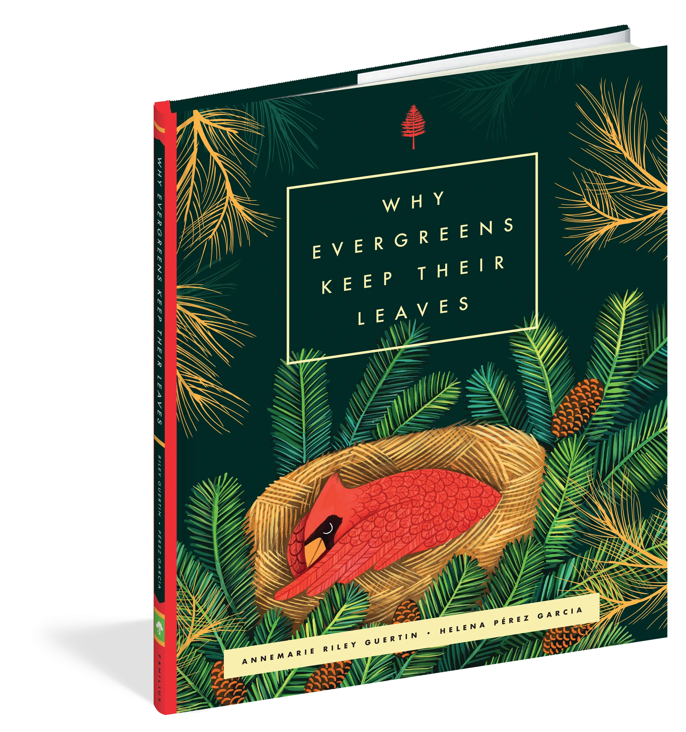 Why Evergreens Keep Their Leaves